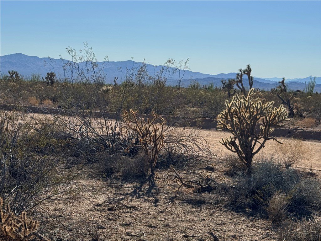 Spacious Corner Lot Near Yucca