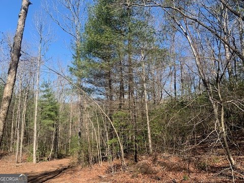 Land, Ellijay, GA