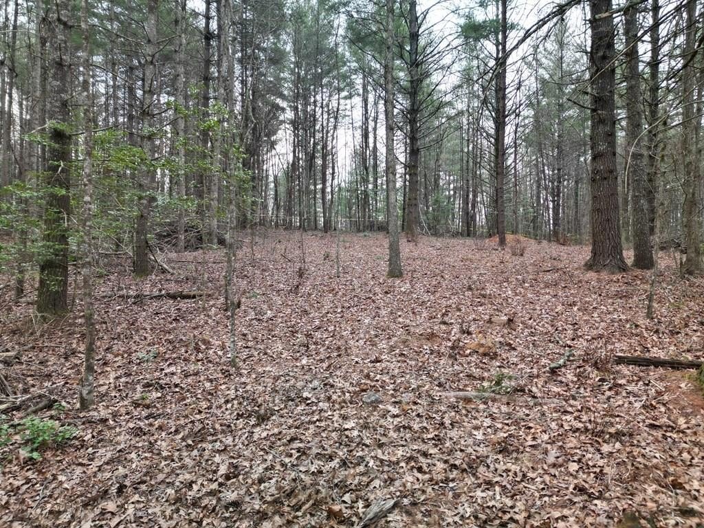 Land in Wooded Murphy Setting