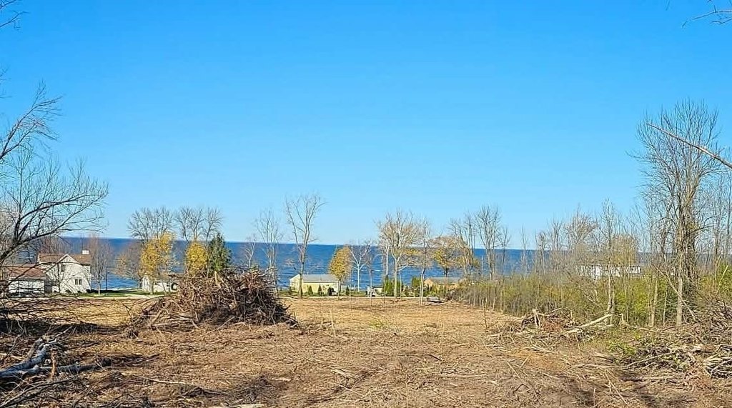 Picture 8