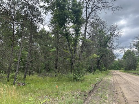Wooded Land Near Baldwin Road