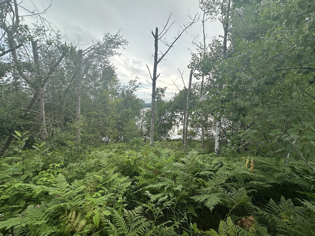 Picture 6