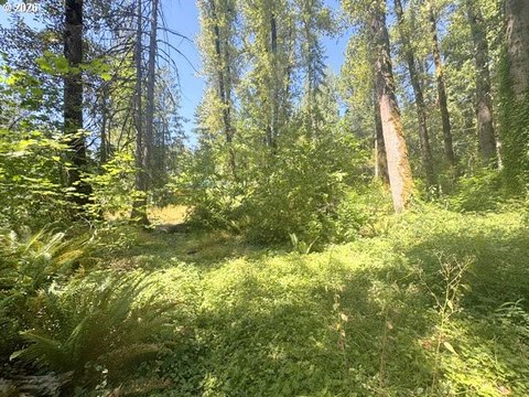 Land, Rhododendron, OR