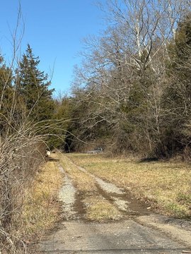 Rural Hunting Land with Creek
