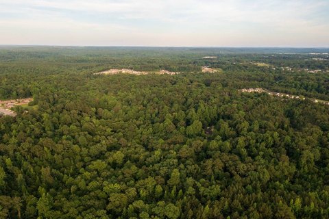LAND - Tuscaloosa, AL