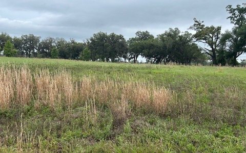 A-1 Zoning Residential Land Lot