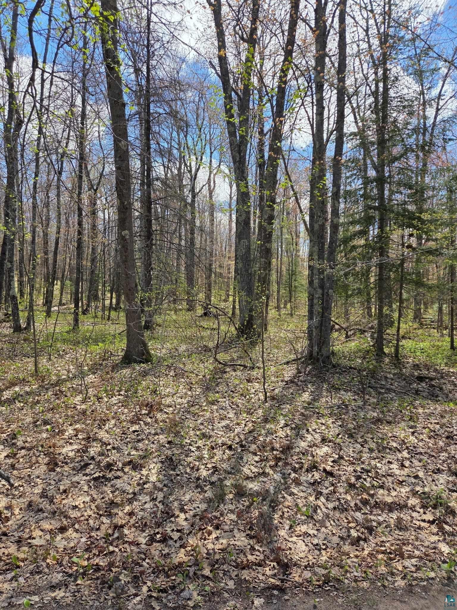 Herbster, WI Secluded Acreage