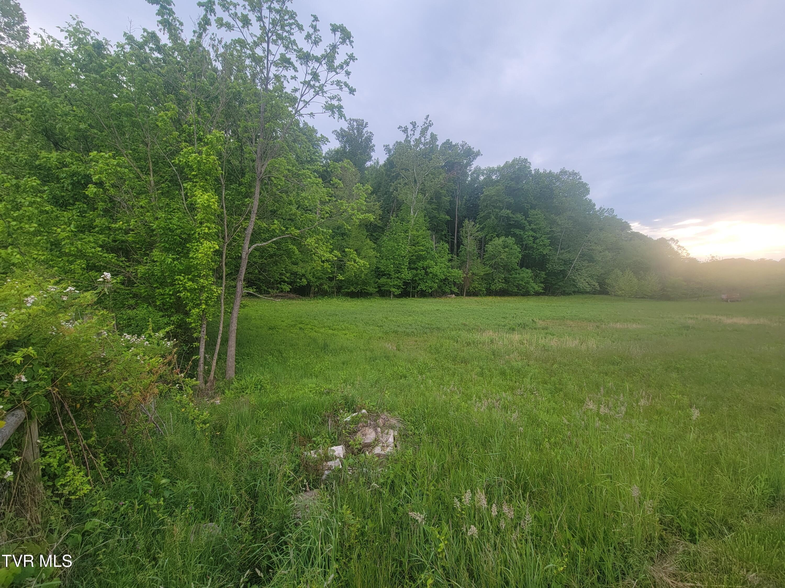Blountville Land with Road Frontage