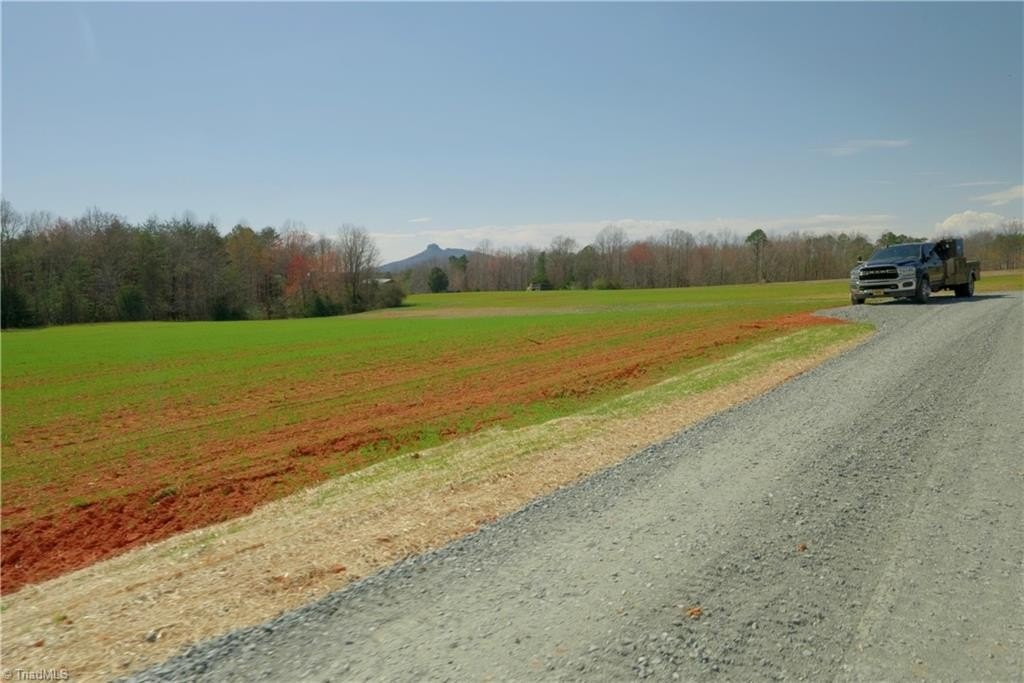 Picture 6
