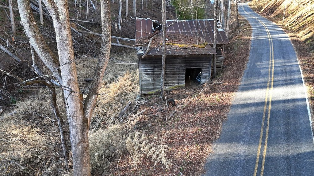 Picture 11