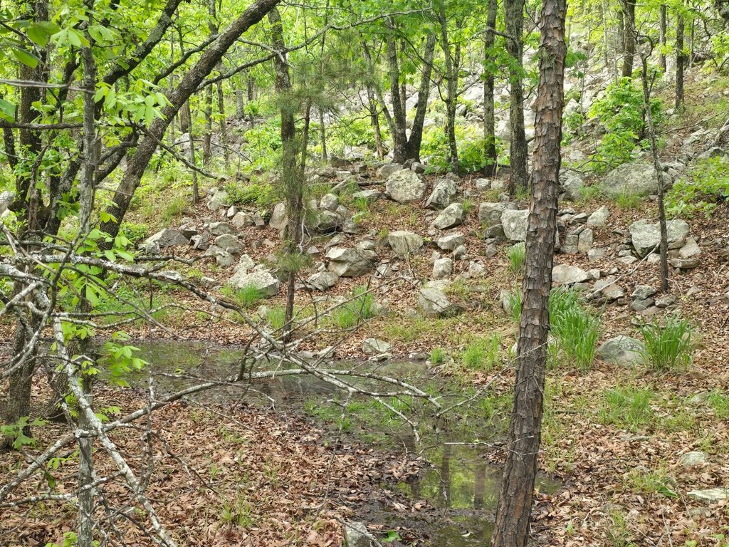 Picture 19
