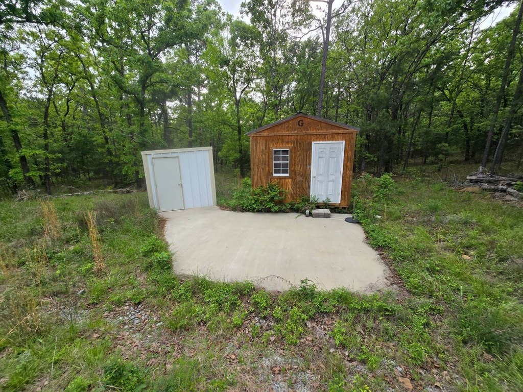 Picture 8