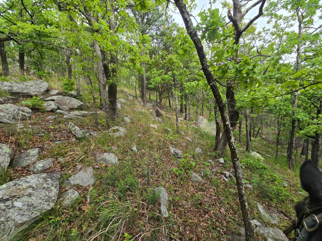 Picture 23
