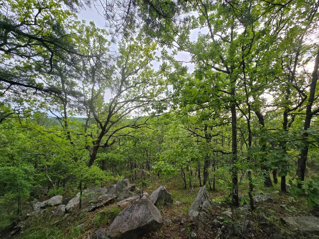 Picture 28