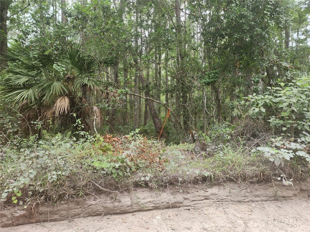Picture 7