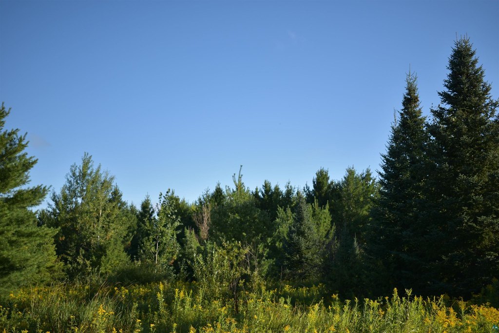 Picture 19