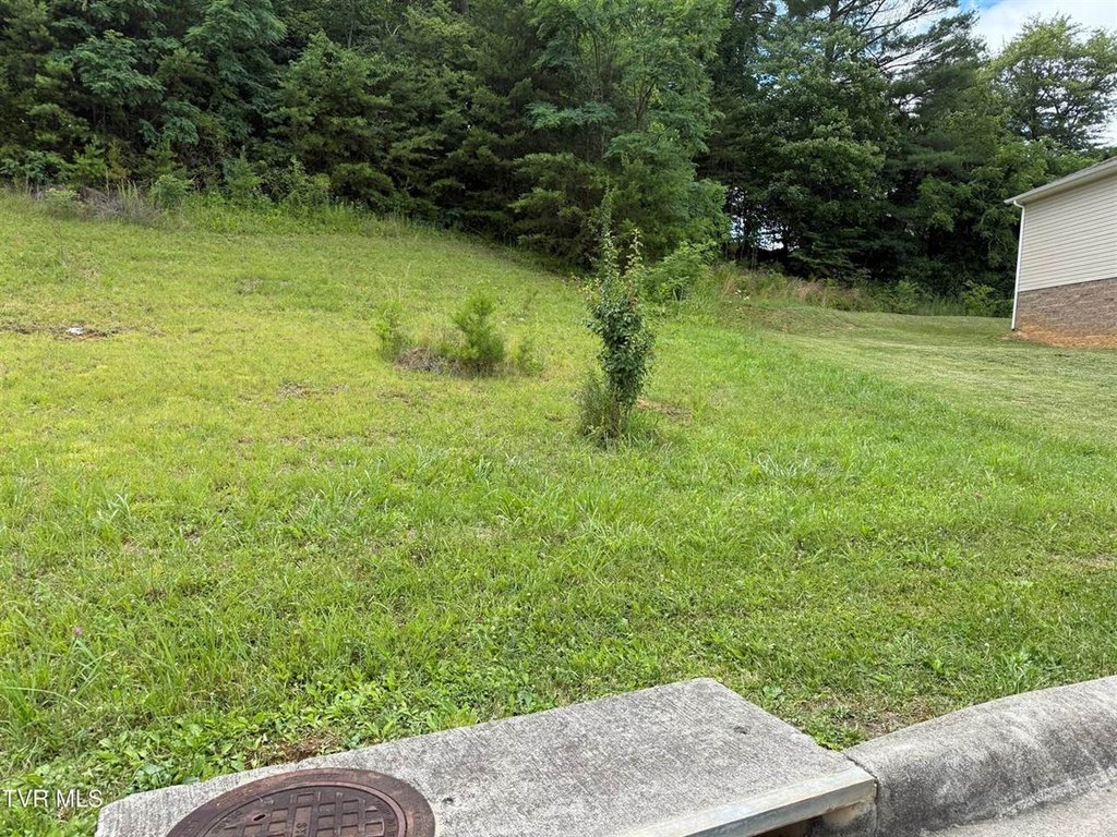 Picture 2