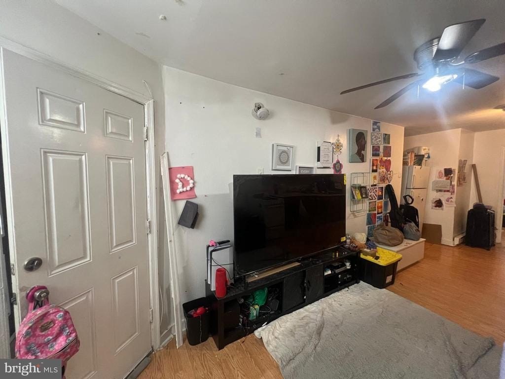 Picture 15