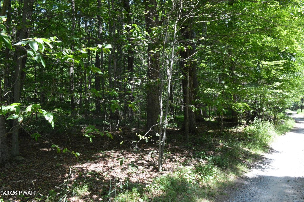 Picture 3