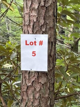 LAND - Tellico Plains, TN