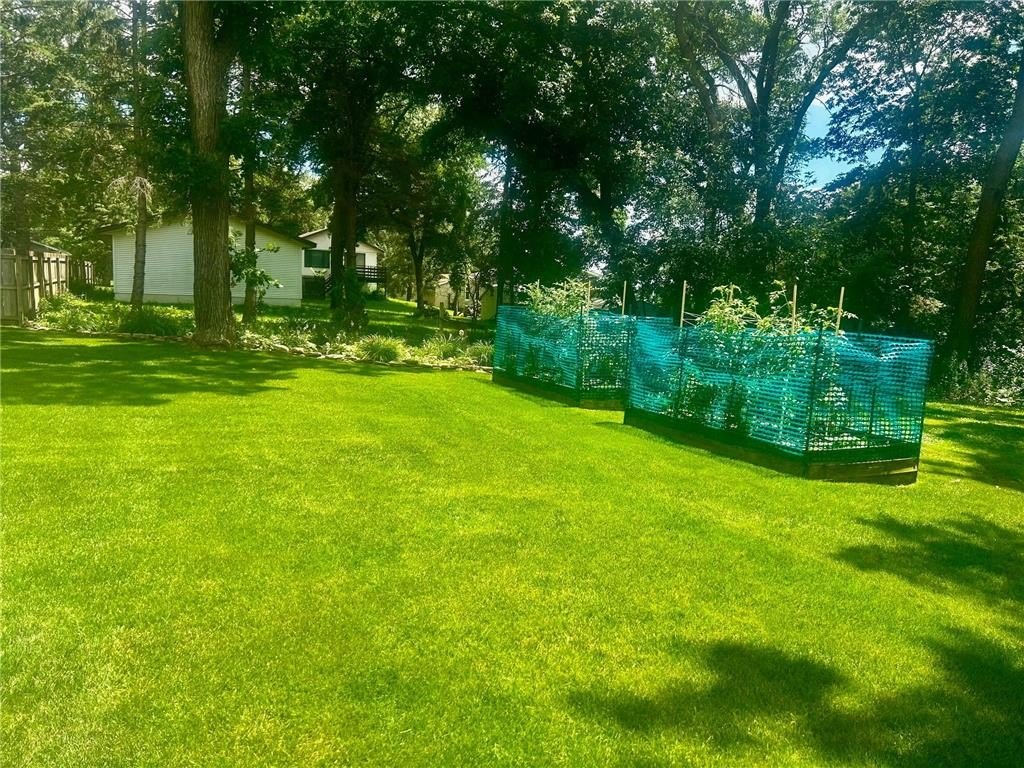 Picture 3