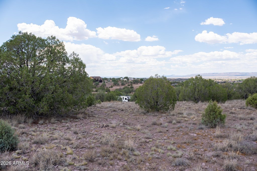 Picture 14