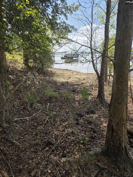 Chapin Waterfront Land For Sale
