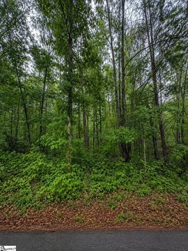 Residential Lot in Travelers Rest