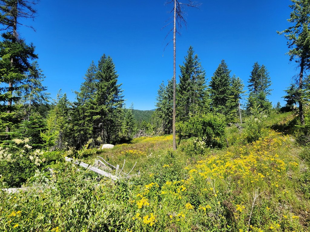 Picture 19