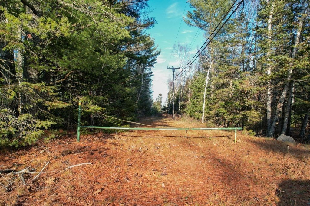 Picture 8