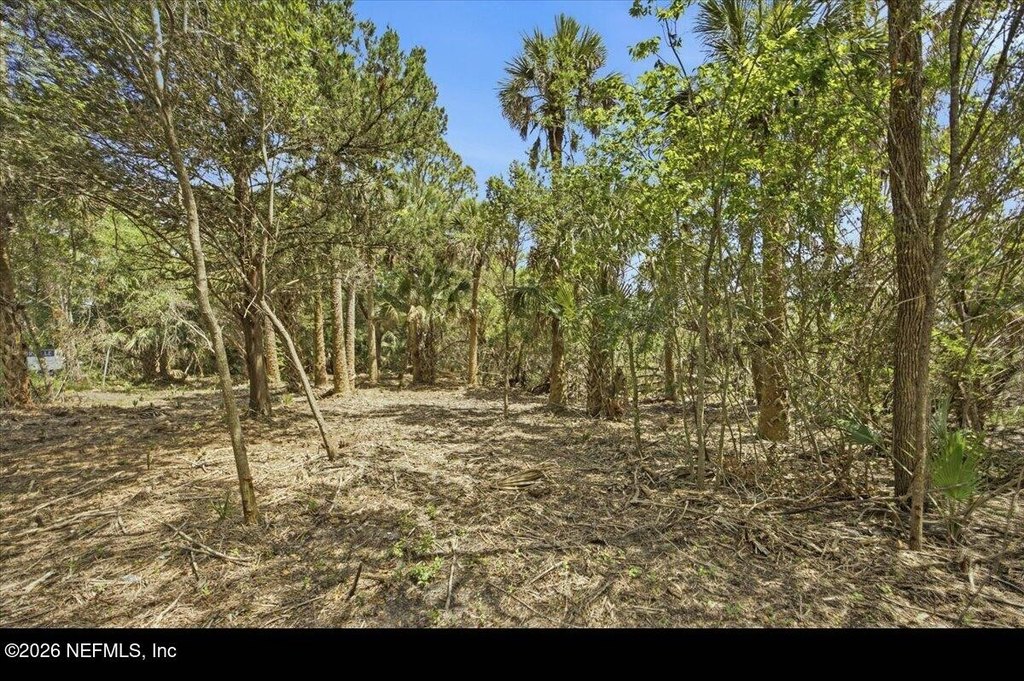 Picture 5