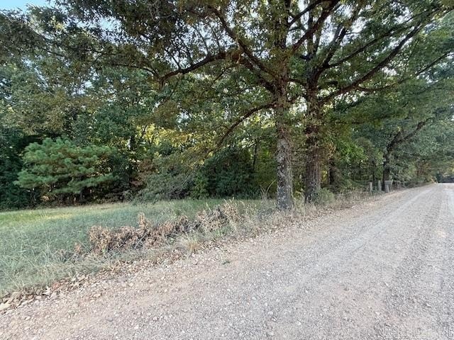 Picture 13