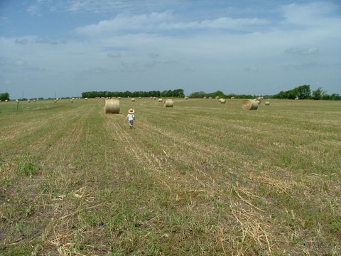 Agricultural Land with Water Meter