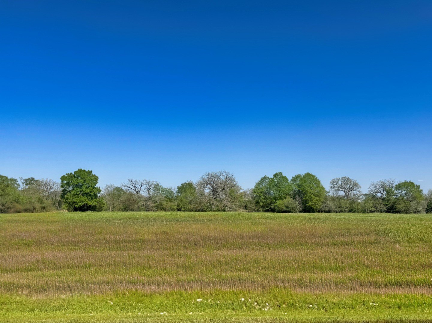 Residential Land in Iola, TX