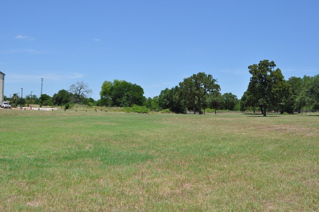 Picture 3