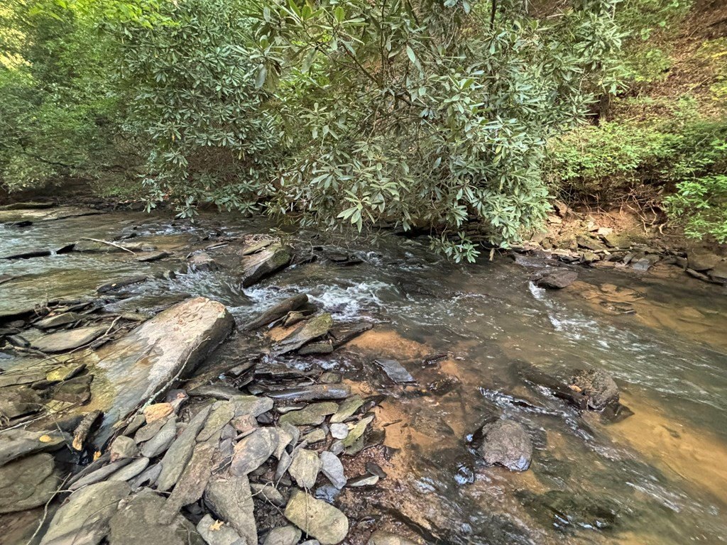 Picture 18