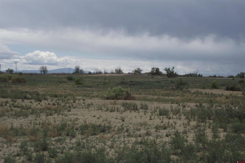 Picture 27