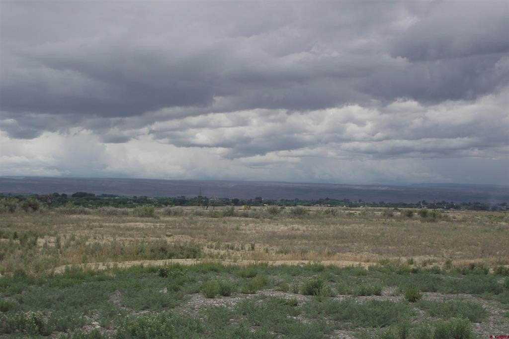 Picture 24
