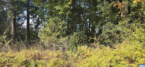 LOTS-LAND, Port Angeles, WA