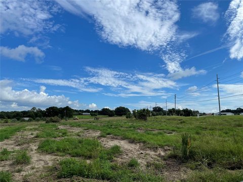 LAND - WEIRSDALE, FL