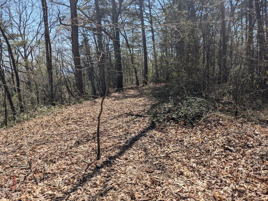 Picture 23