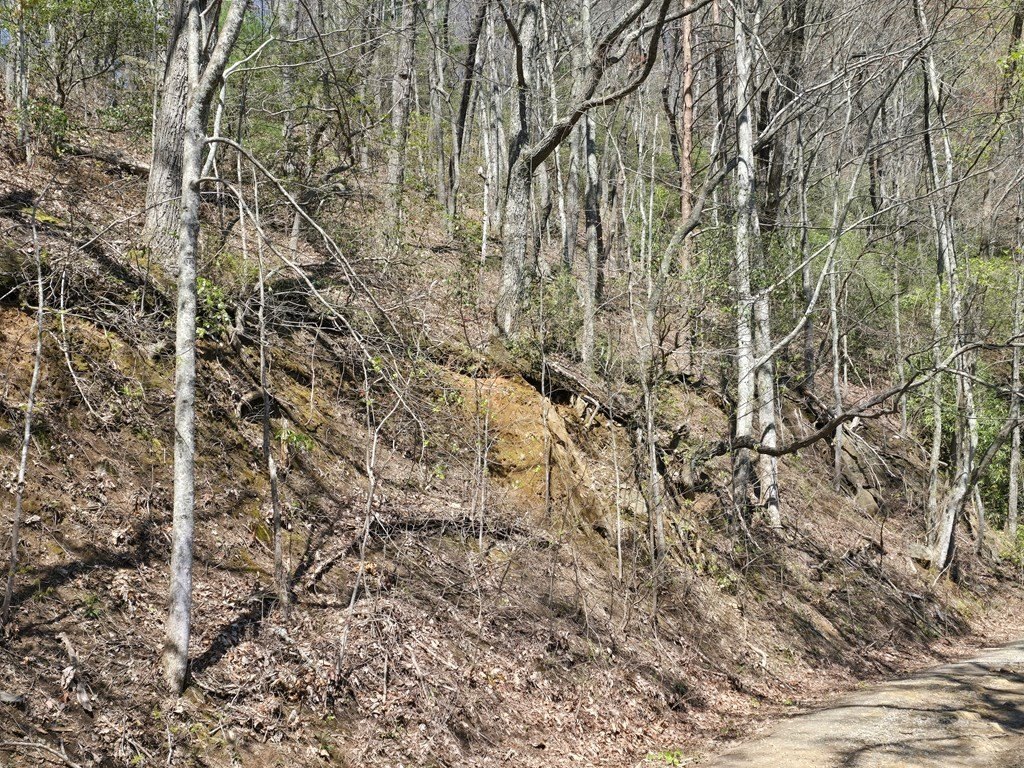 Picture 30