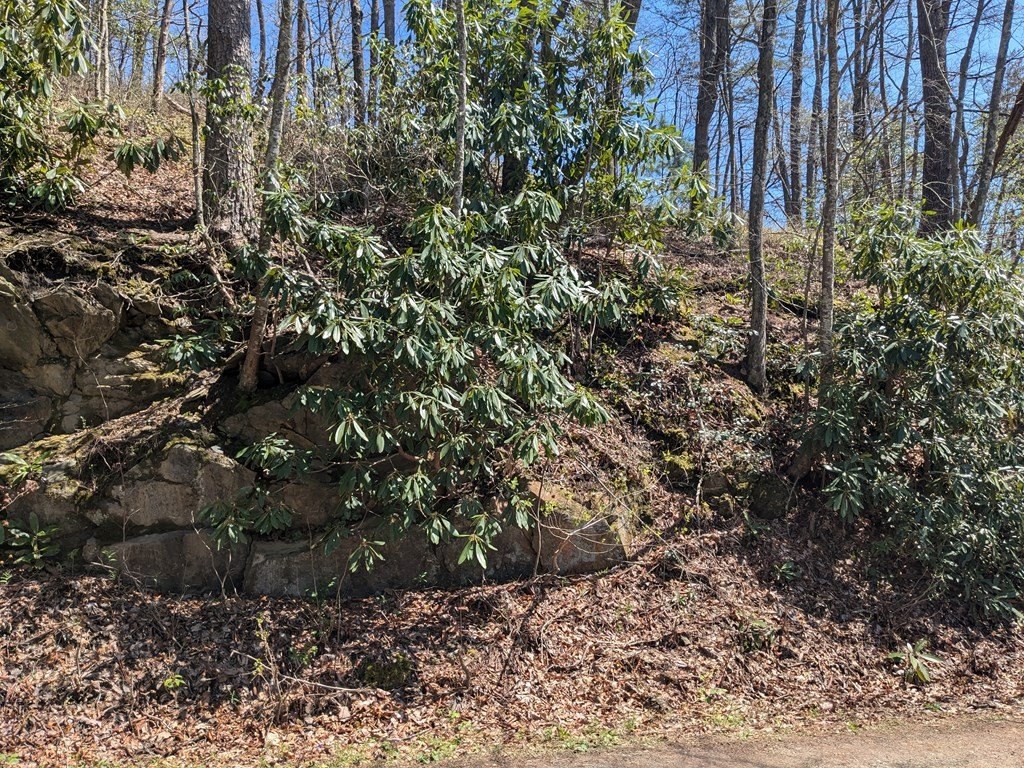 Picture 4