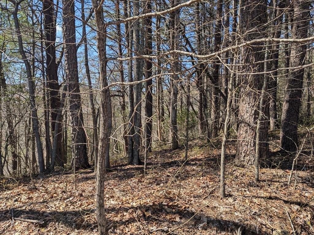 Picture 3