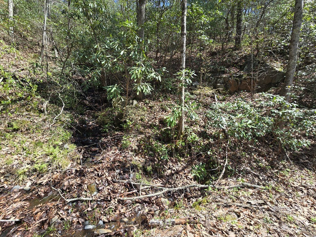 Picture 29