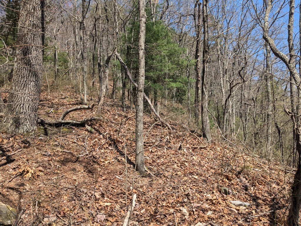 Picture 22