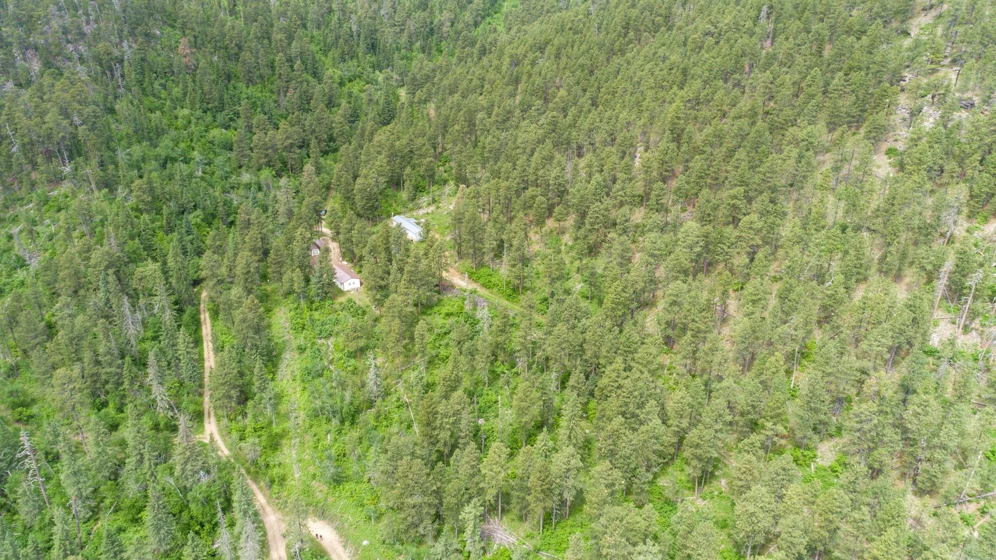 Black Hills Wooded Lot