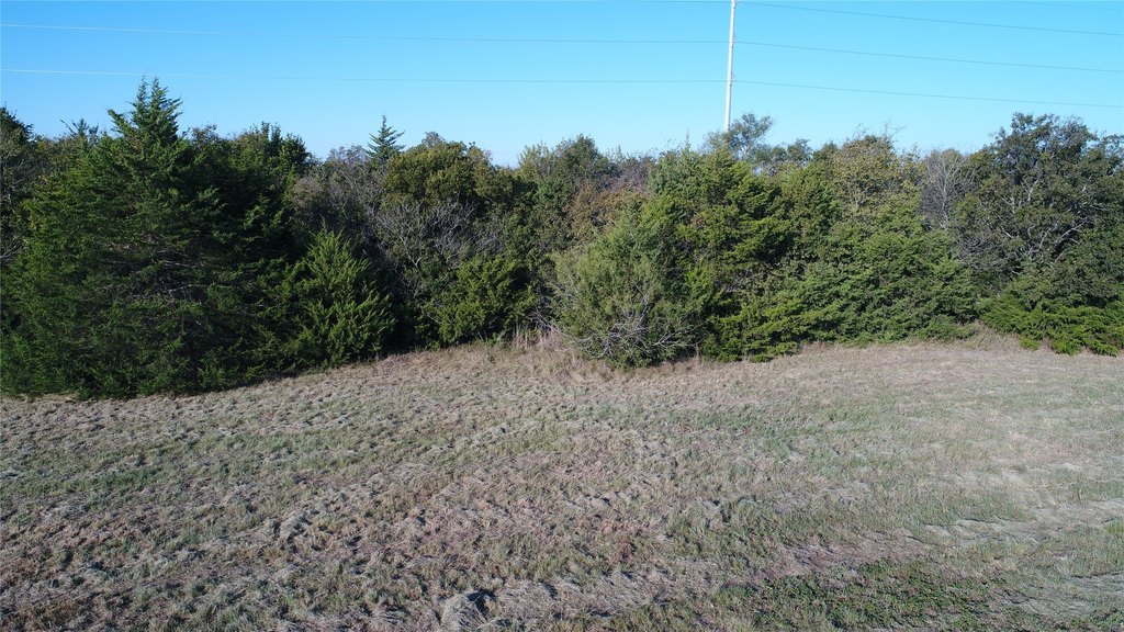 Picture 10