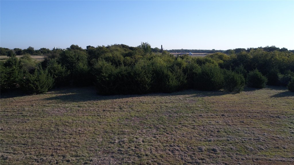 Picture 9
