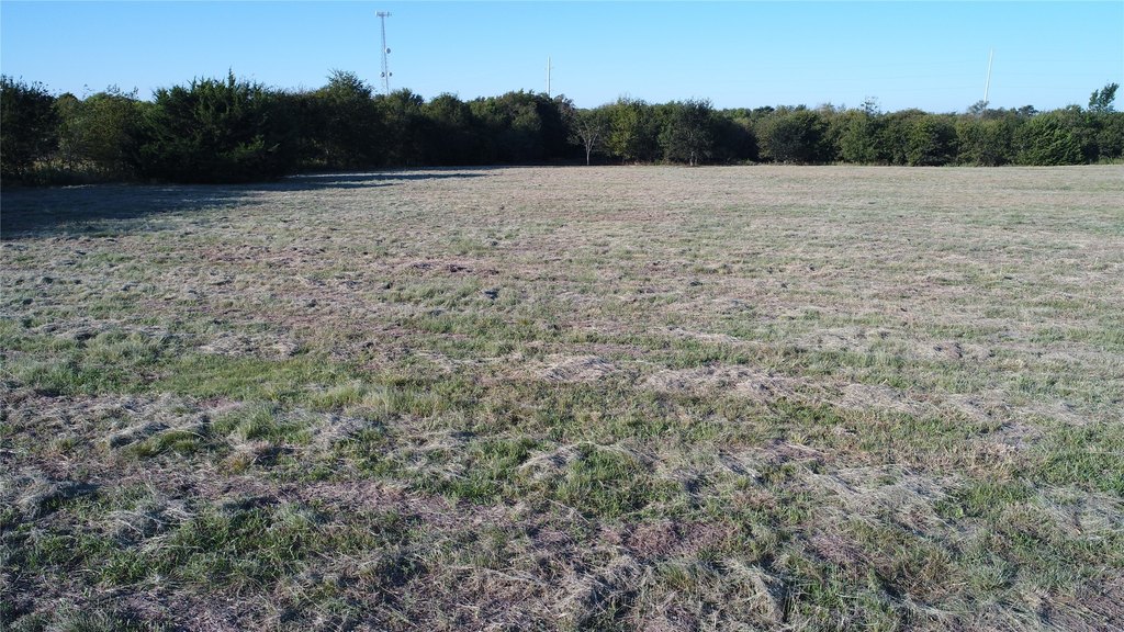 Picture 11